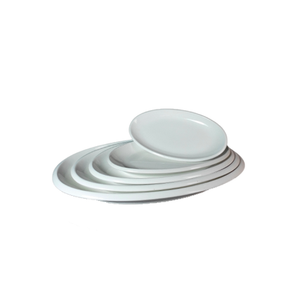 Porcelain Fish Plate - 13C08401